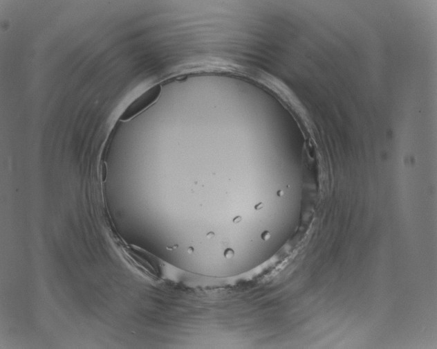 X0000072991242200608211508