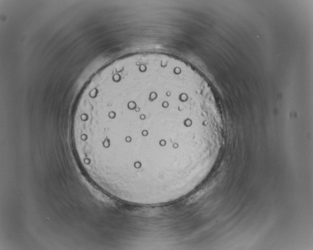 X0000072991245200608211508