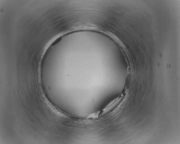 X0000072991246200608211508