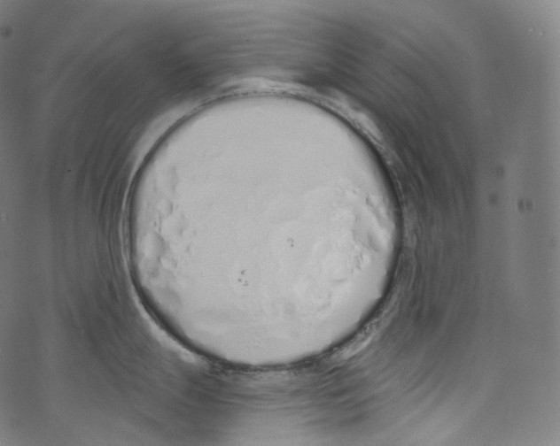 X0000072991247200608211508