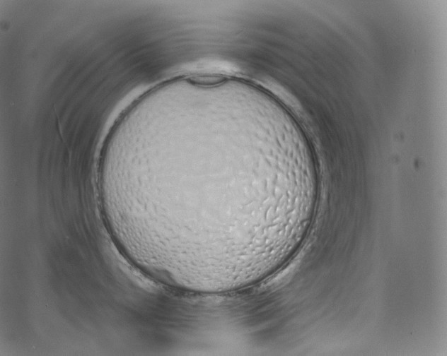 X0000072991248200608211508