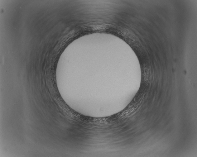 X0000072991249200608211507