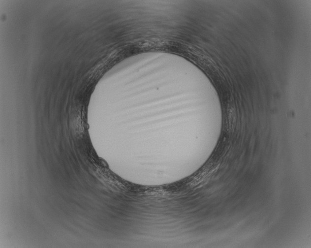 X0000072991250200608211507