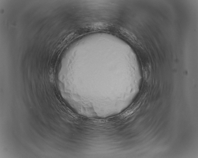 X0000072991251200608211507