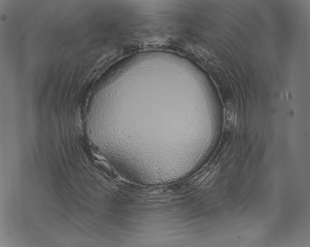 X0000072991252200608211507