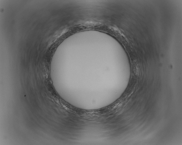 X0000072991253200608211507