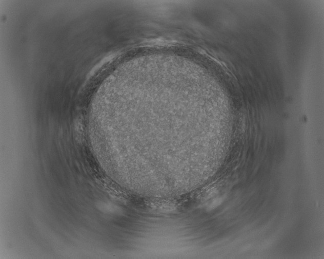 X0000072991254200608211507