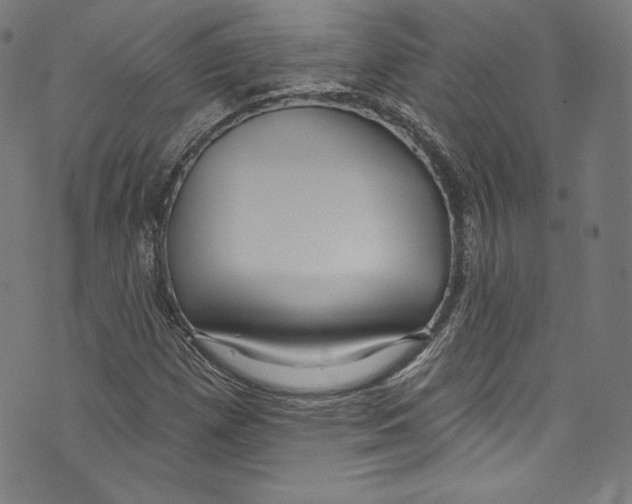 X0000072991257200608211507