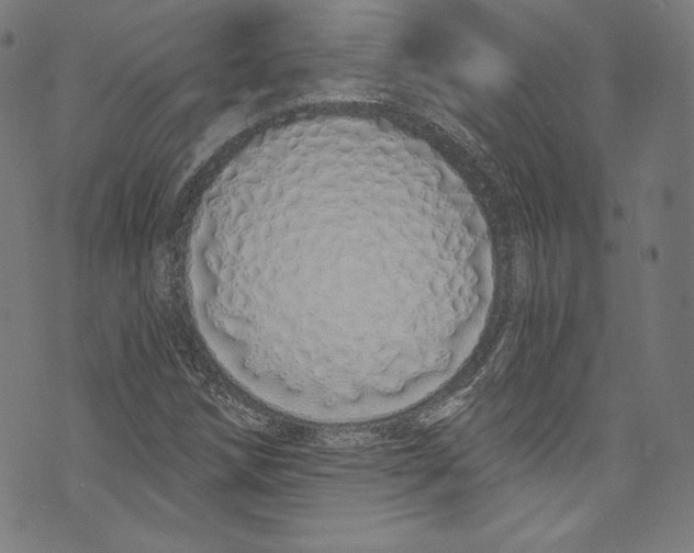 X0000072991258200608211507