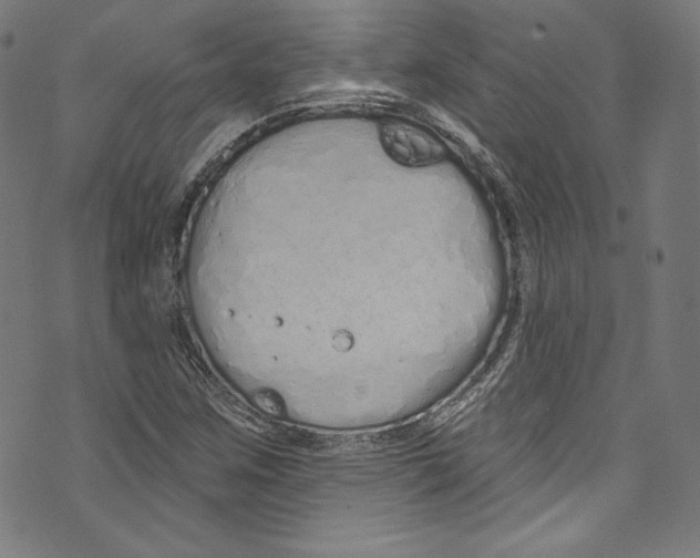 X0000072991259200608211507