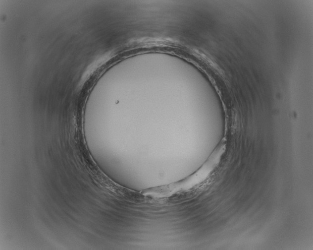 X0000072991261200608211507