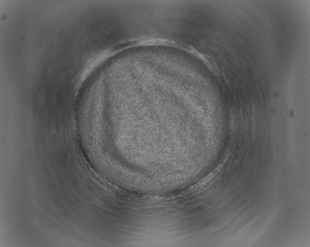 X0000072991263200608211507