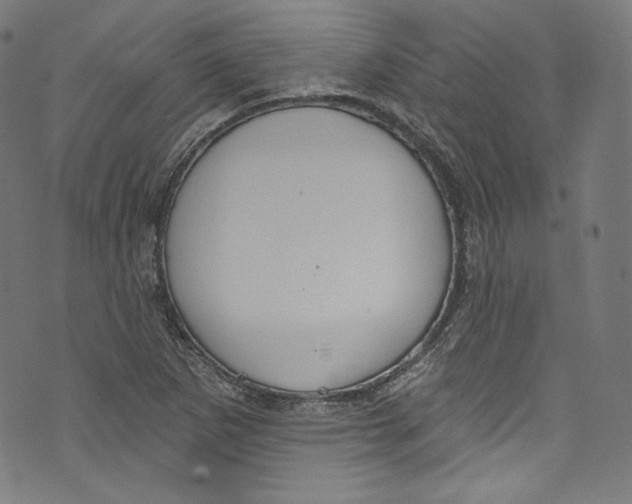 X0000072991265200608211507