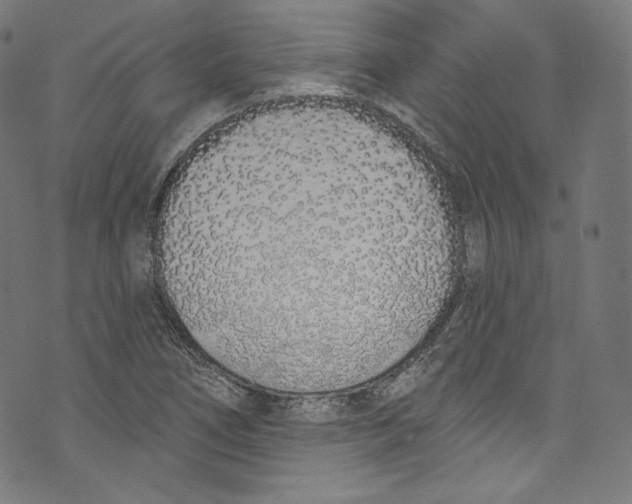 X0000072991266200608211507