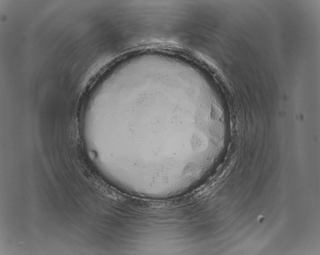 X0000072991267200608211507