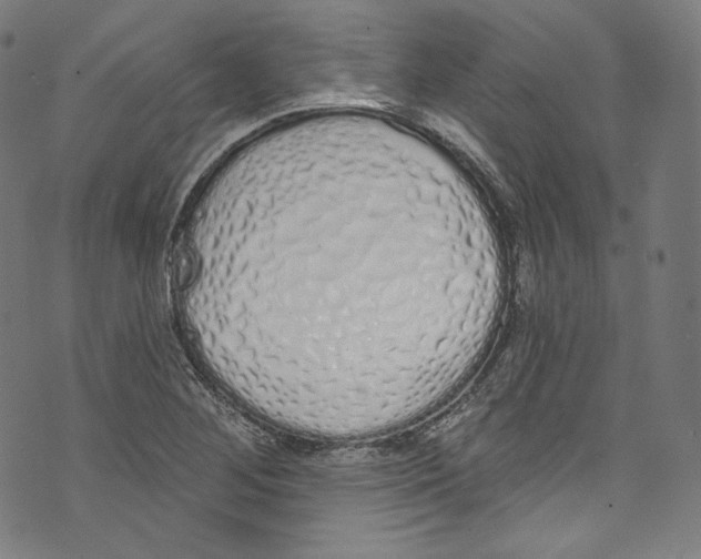 X0000072991268200608211507