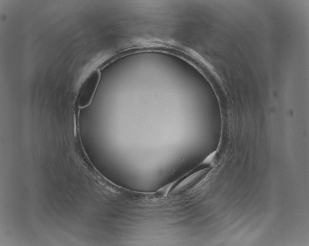 X0000072991269200608211507