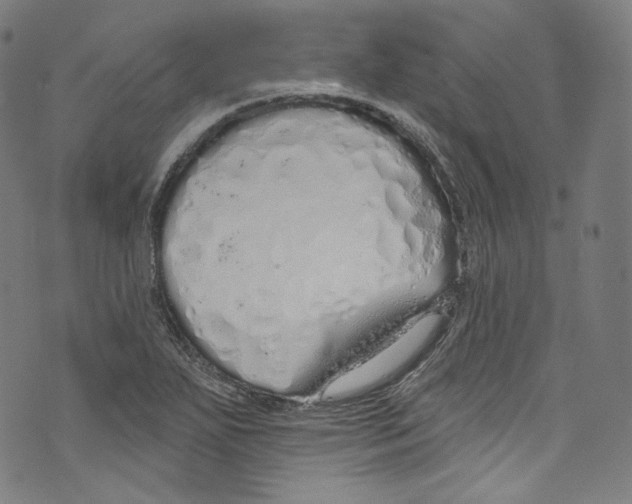 X0000072991271200608211507