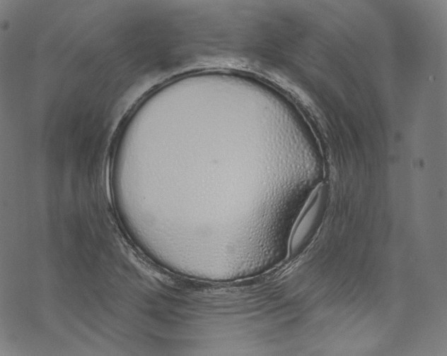 X0000072991272200608211507