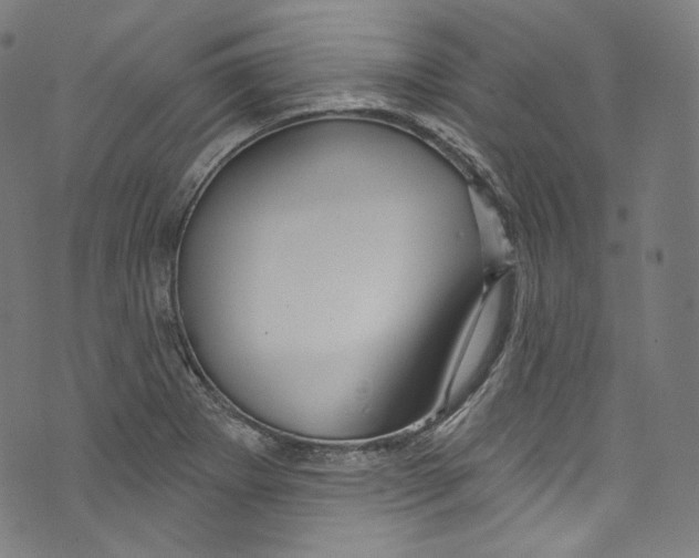 X0000072991273200608211507