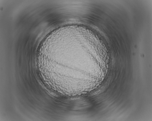 X0000072991274200608211506