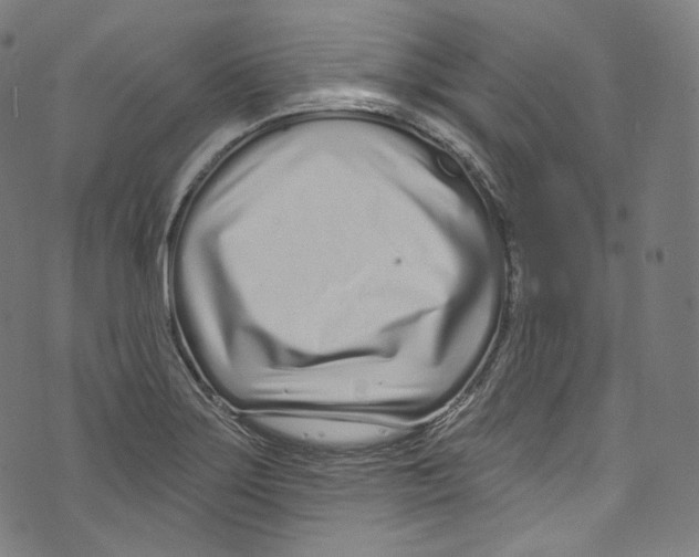 X0000072991275200608211506