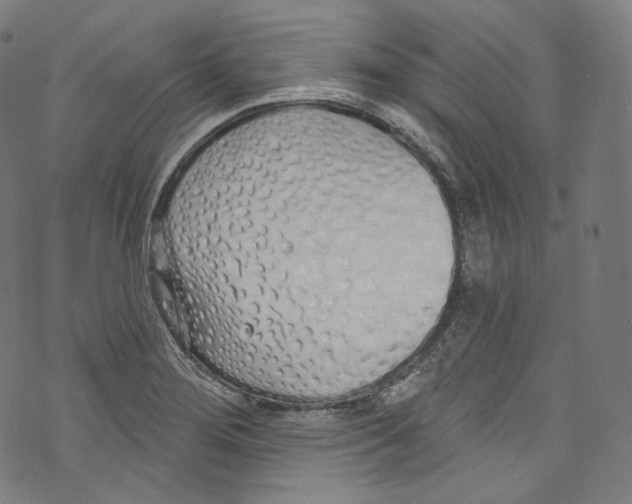 X0000072991276200608211506