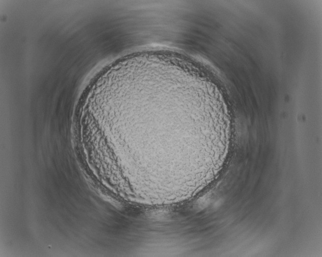 X0000072991278200608211506