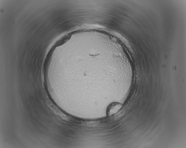 X0000072991280200608211506