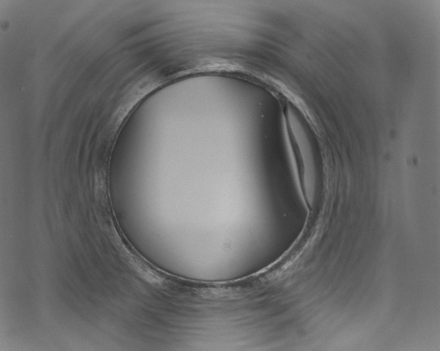 X0000072991281200608211506