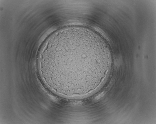 X0000072991282200608211506