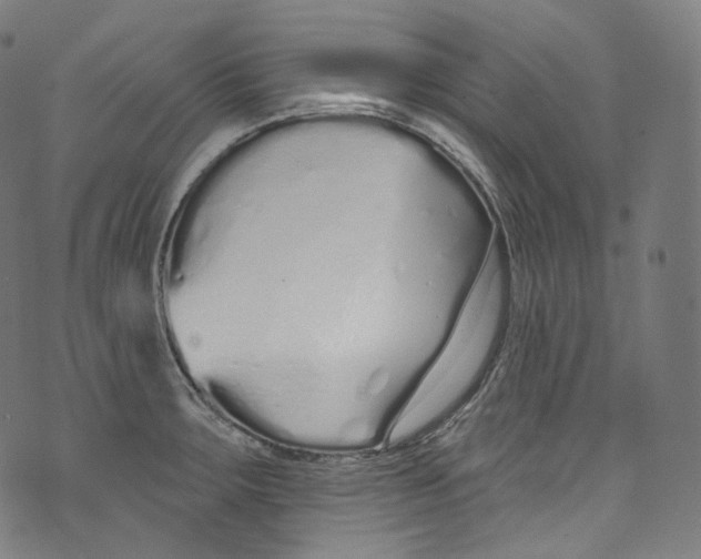 X0000072991283200608211506