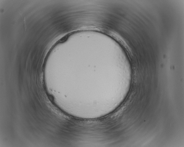 X0000072991284200608211506