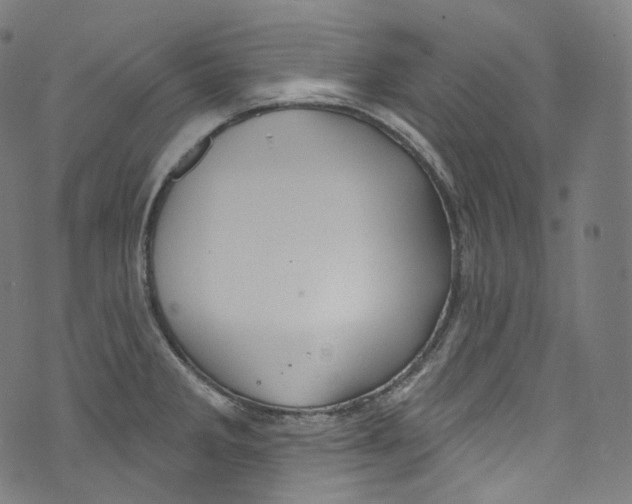 X0000072991285200608211506