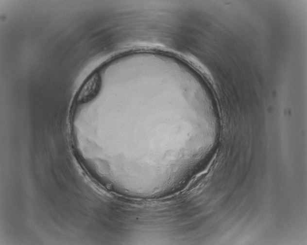 X0000072991287200608211506