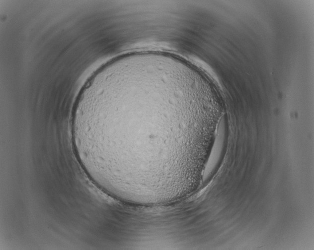 X0000072991288200608211506