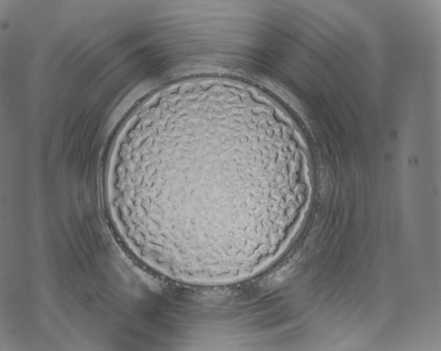 X0000072991290200608211506