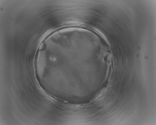 X0000072991291200608211506