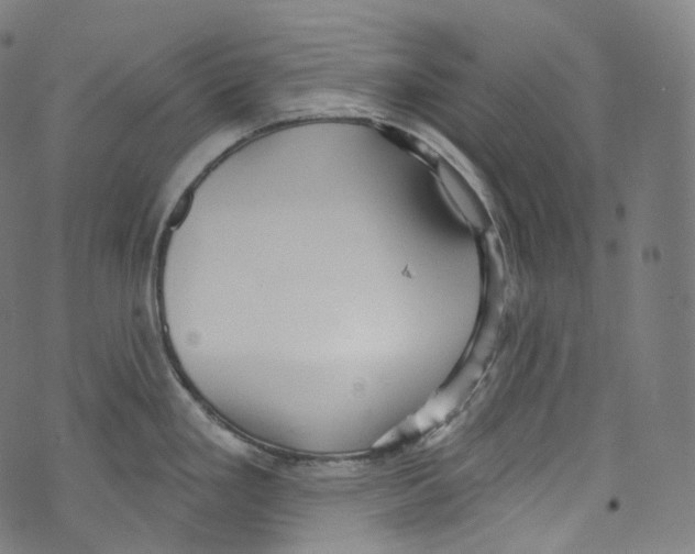 X0000072991293200608211506