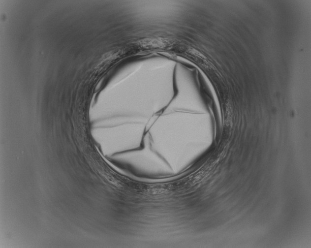 X0000072991297200608211505