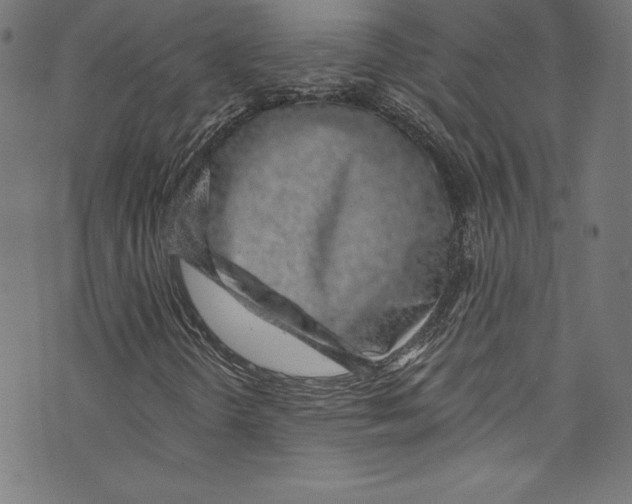 X0000072991298200608211505