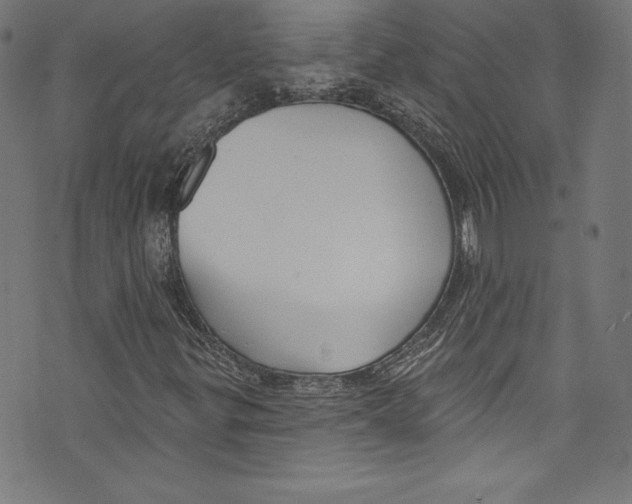 X0000072991299200608211505