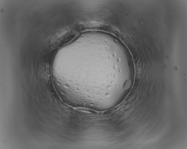 X0000072991301200608211505