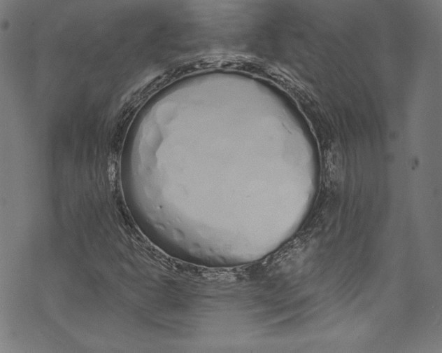 X0000072991302200608211505