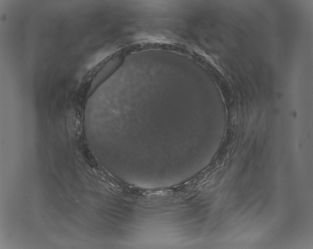 X0000072991303200608211505