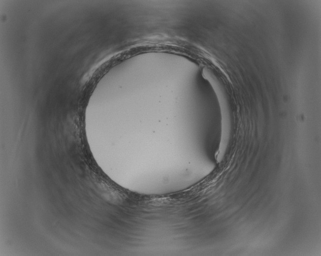 X0000072991304200608211505