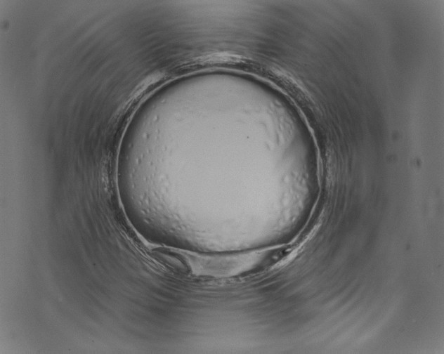 X0000072991305200608211505