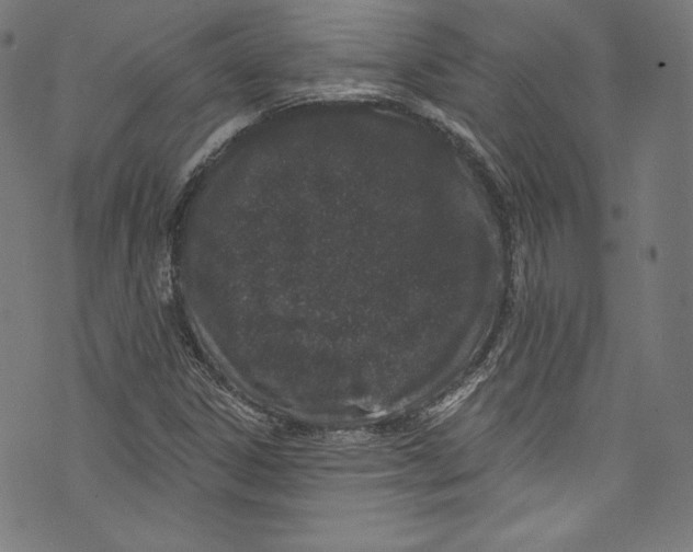 X0000072991306200608211506