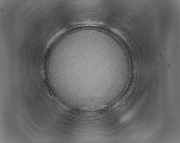 X0000072991307200608211506