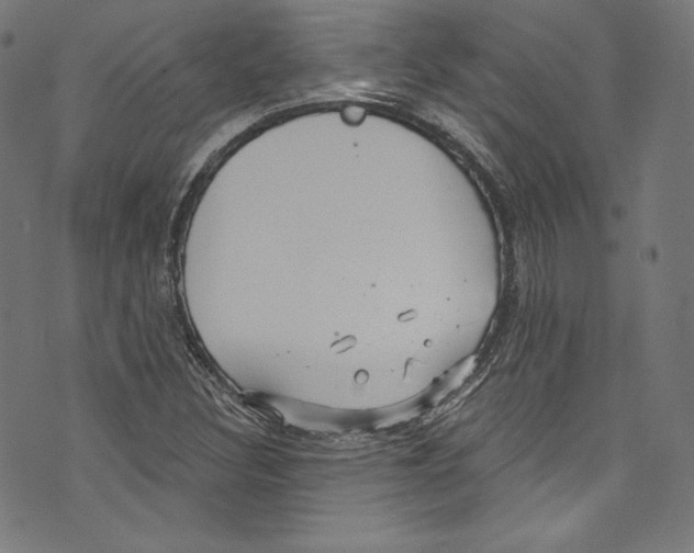 X0000072991308200608211506